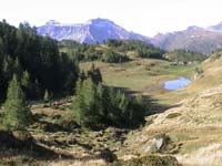 4g - l'alpe del Sangiatto(mt.2010) 