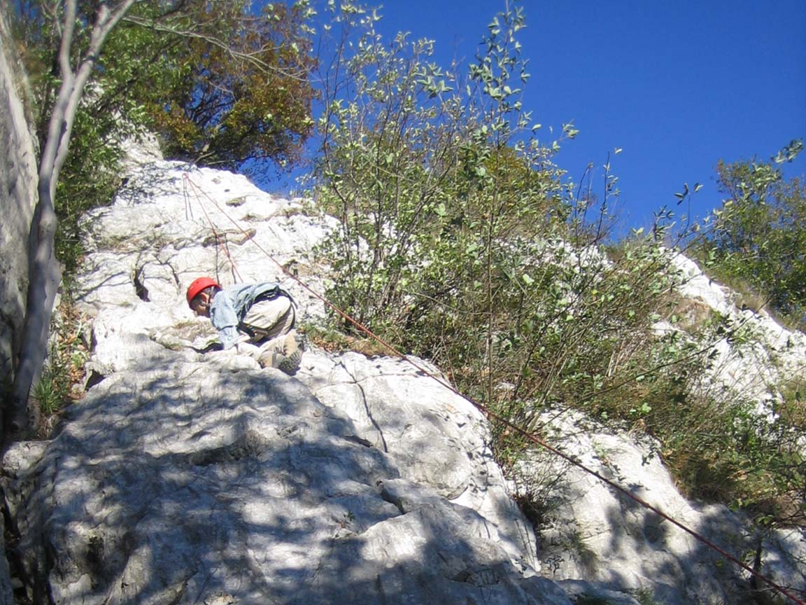 quasi in cima