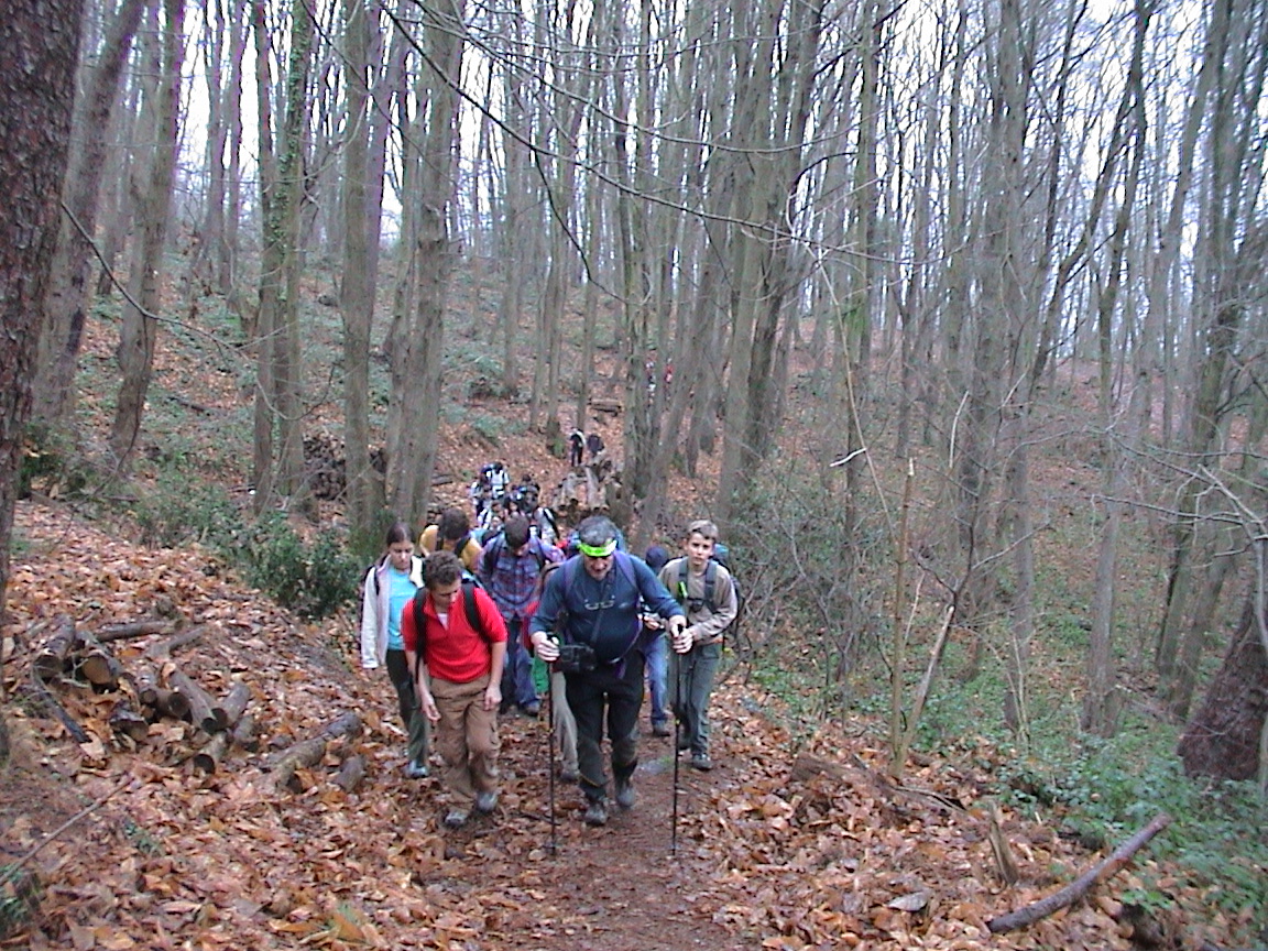 verso la cima