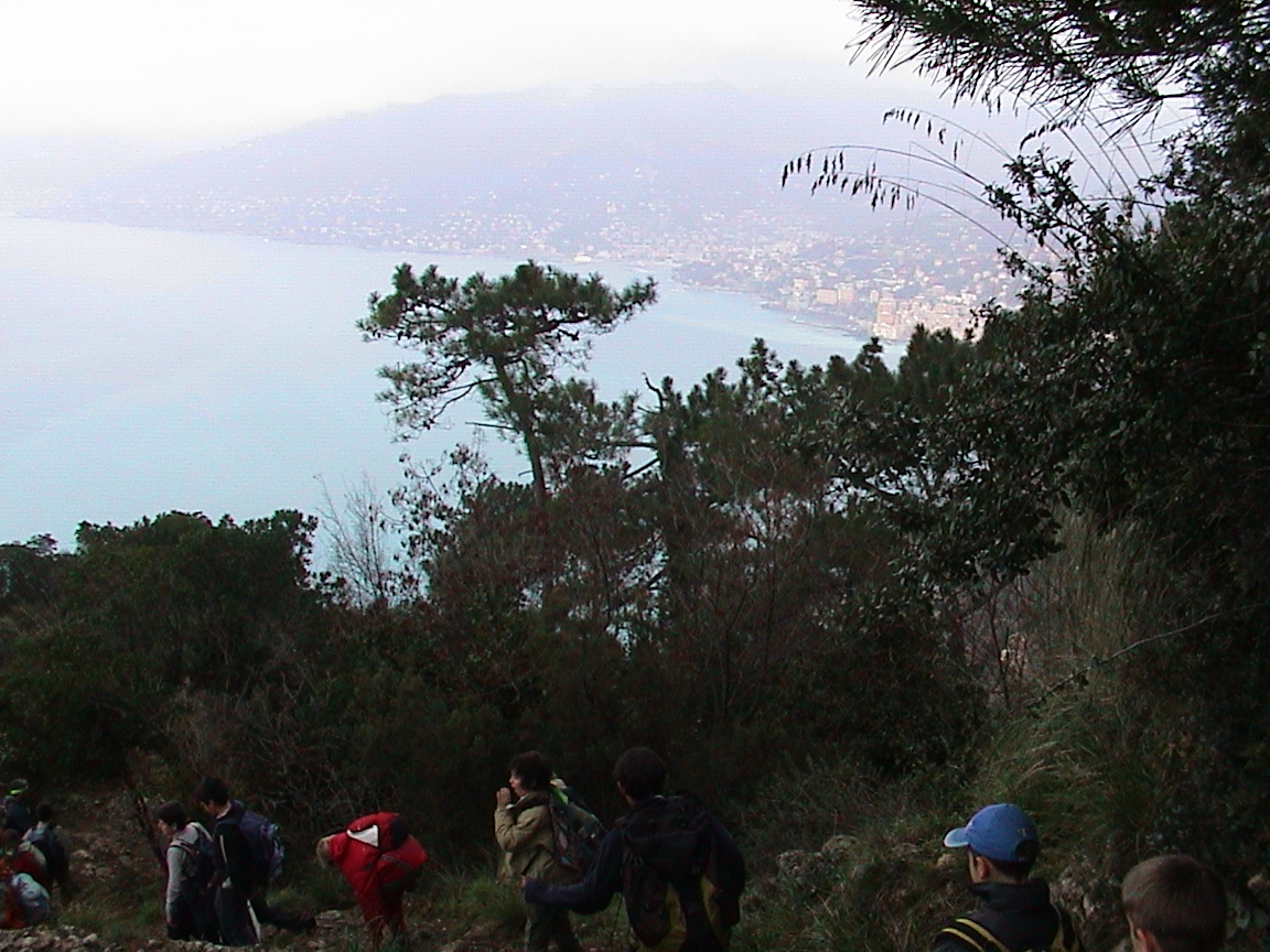 la costa verso Camogli